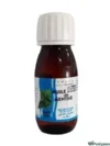 Vital Phytothera Huile de Menthe 65ml